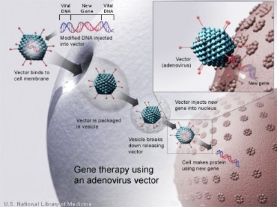 maprojects_comcontentimg0409gene_therapy_jpg
